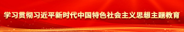 玩日女人比视频学习贯彻习近平新时代中国特色社会主义思想主题教育